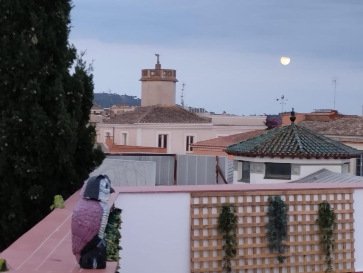 Apartaments L'Arc パラフルジェイ エクステリア 写真